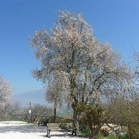 Il Poggiolo