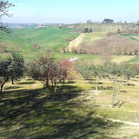 农家乐 Il Poggiolo